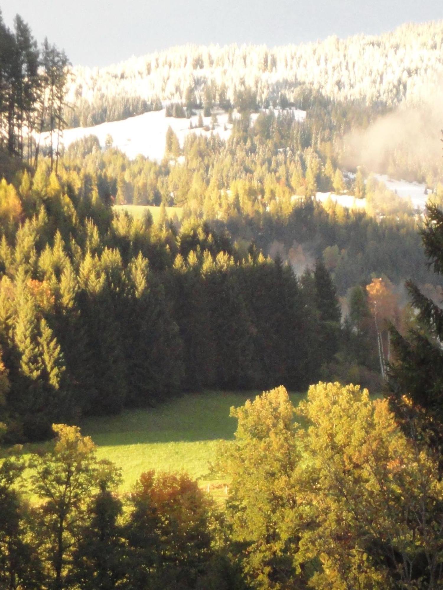 Hotel Lindenhof Murau Exterior foto